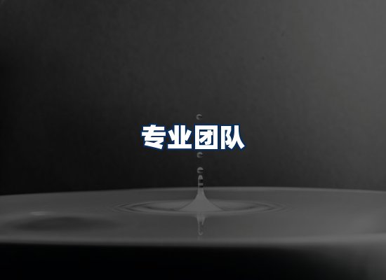 专业团队